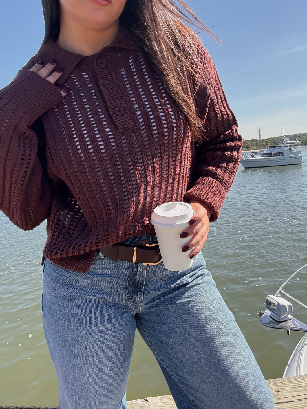 ZSUPPLY Looking Glass Crochet Polo Sweater