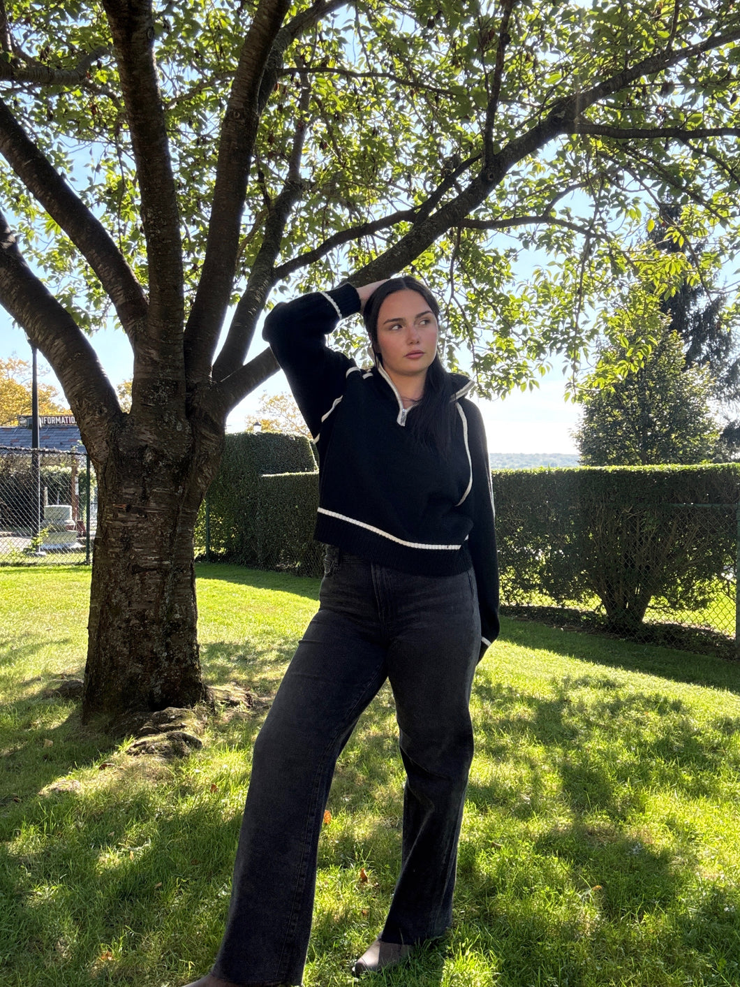 ZSUPPLY Alps Half Zip Sweater